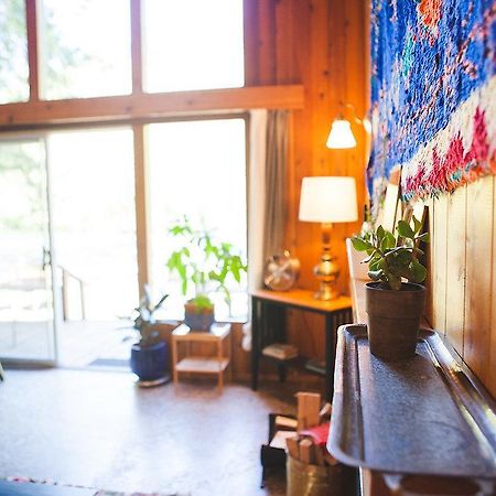 Loloma Lodge And Cabins McKenzie Bridge 外观 照片